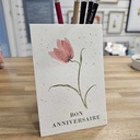 Life in a bag - Carte postale à planter "Bon anniversaire"
